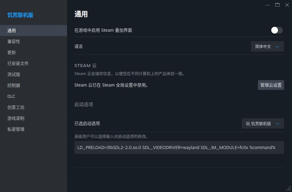 启动选项